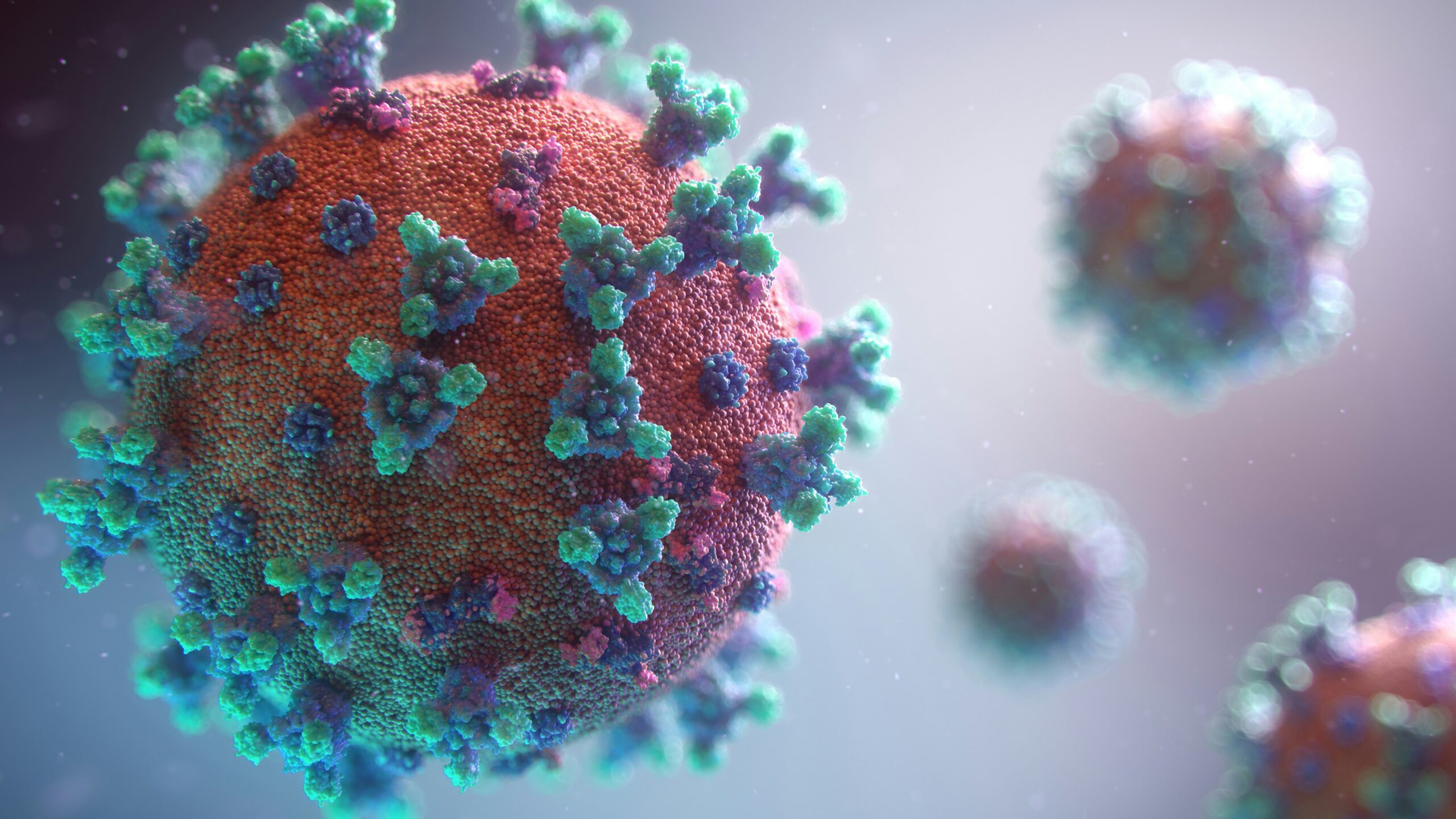 Biofilm